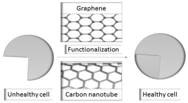 https://cdn.ncbi.nlm.nih.gov/pmc/blobs/d513/6278361/2fe3a9df39b3/molecules-23-02787-g001.jpg
