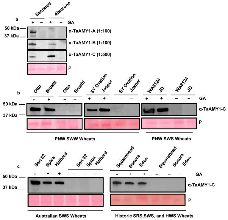 https://cdn.ncbi.nlm.nih.gov/pmc/blobs/d514/10675223/21c71894f71a/plants-12-03798-g005.jpg