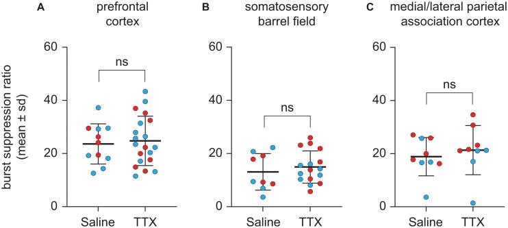 https://cdn.ncbi.nlm.nih.gov/pmc/blobs/d515/8299111/cfd544a387cd/fnsys-15-690717-g006.jpg