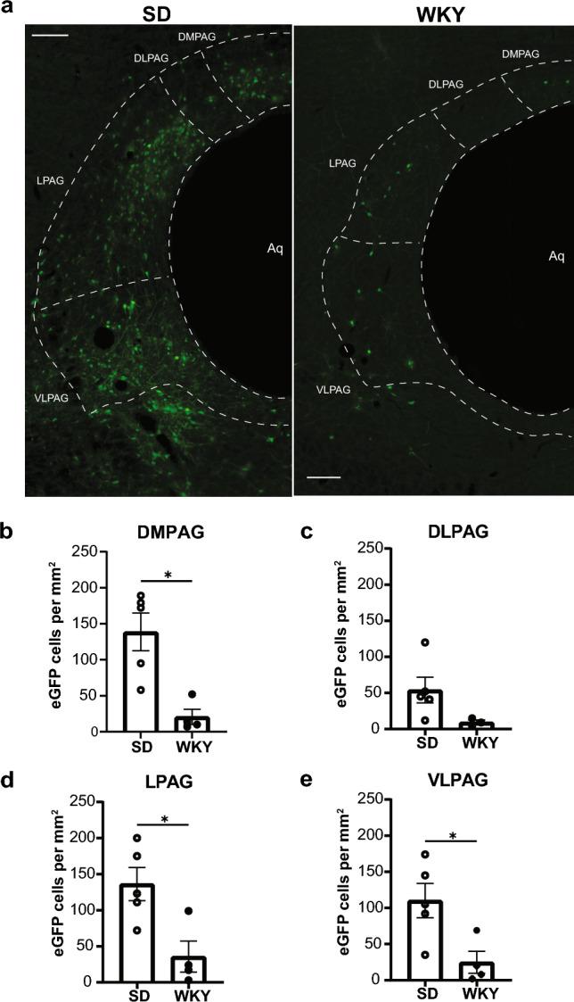 https://cdn.ncbi.nlm.nih.gov/pmc/blobs/d517/10972925/945823c60a0c/221_2024_6786_Fig2_HTML.jpg