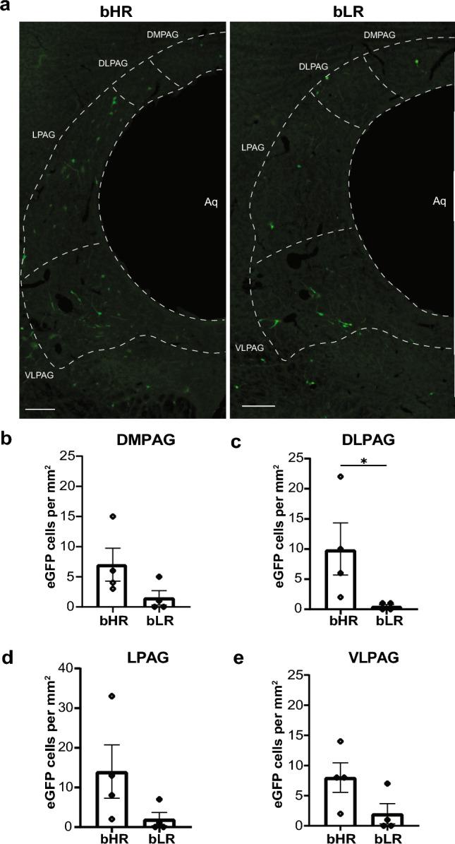https://cdn.ncbi.nlm.nih.gov/pmc/blobs/d517/10972925/de4459f9b570/221_2024_6786_Fig4_HTML.jpg