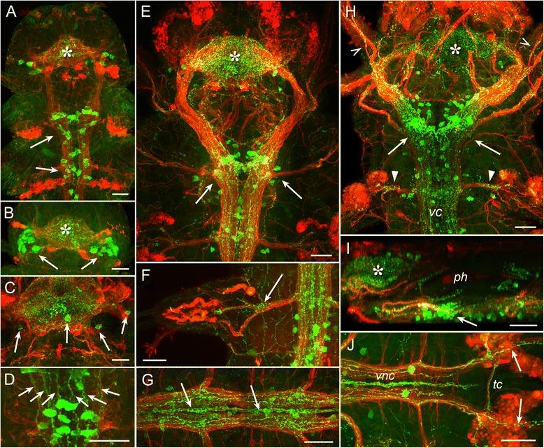 https://cdn.ncbi.nlm.nih.gov/pmc/blobs/d517/5445494/e14ef65cdfda/12983_2017_211_Fig5_HTML.jpg