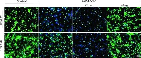 https://cdn.ncbi.nlm.nih.gov/pmc/blobs/d518/3108468/cd049bb156ba/pr-2010-009178_0005.jpg