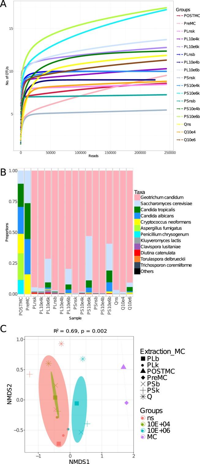 https://cdn.ncbi.nlm.nih.gov/pmc/blobs/d518/6597572/0b00c03895f8/41598_2019_44974_Fig3_HTML.jpg
