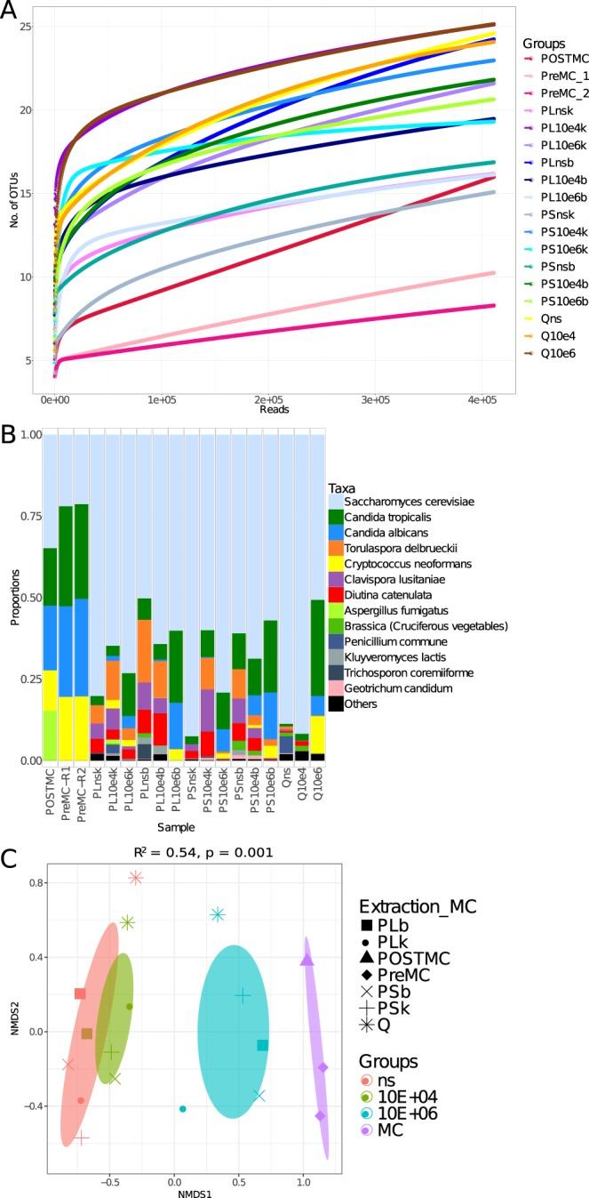 https://cdn.ncbi.nlm.nih.gov/pmc/blobs/d518/6597572/b204e8dc92df/41598_2019_44974_Fig4_HTML.jpg