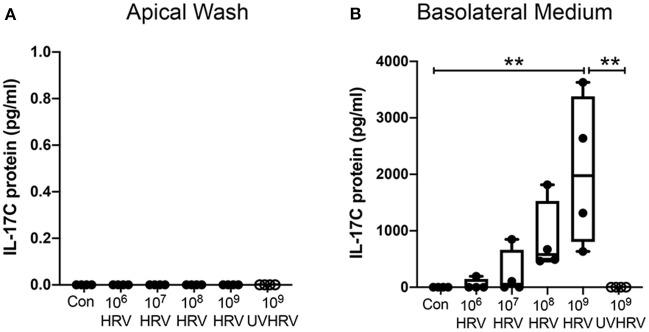 https://cdn.ncbi.nlm.nih.gov/pmc/blobs/d518/7082745/617380ca6864/fcimb-10-00103-g0001.jpg