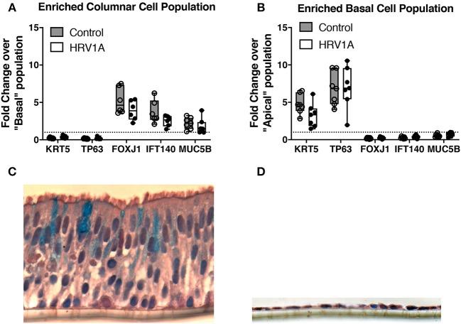 https://cdn.ncbi.nlm.nih.gov/pmc/blobs/d518/7082745/621e99ab7325/fcimb-10-00103-g0005.jpg