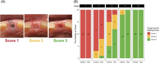 https://cdn.ncbi.nlm.nih.gov/pmc/blobs/d51a/11951953/d55760ab037b/JPER-96-230-g001.jpg