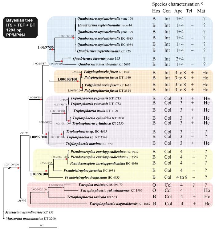 https://cdn.ncbi.nlm.nih.gov/pmc/blobs/d51c/2816973/472f63caf448/175fig18.jpg