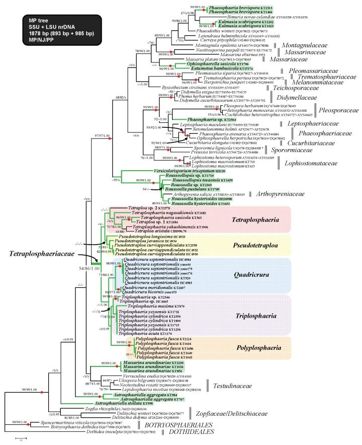 https://cdn.ncbi.nlm.nih.gov/pmc/blobs/d51c/2816973/b69c6bf924c5/175fig16.jpg