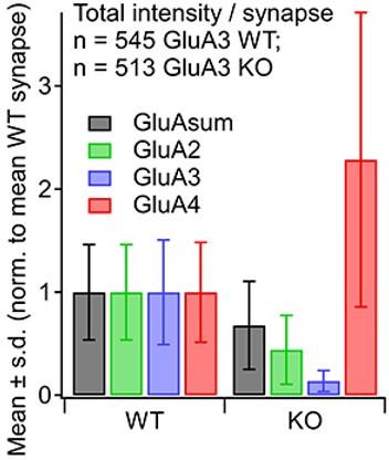 https://cdn.ncbi.nlm.nih.gov/pmc/blobs/d51c/9891727/064432f942d2/elife-80950-sa2-fig1.jpg