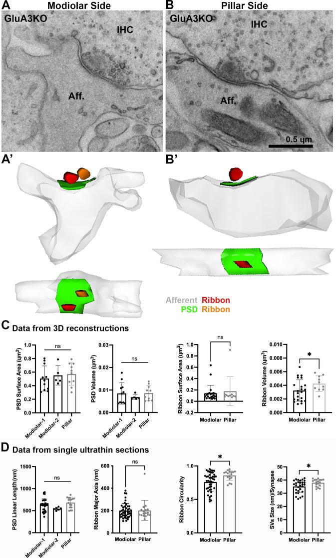 https://cdn.ncbi.nlm.nih.gov/pmc/blobs/d51c/9891727/41eeda90114d/elife-80950-fig4.jpg