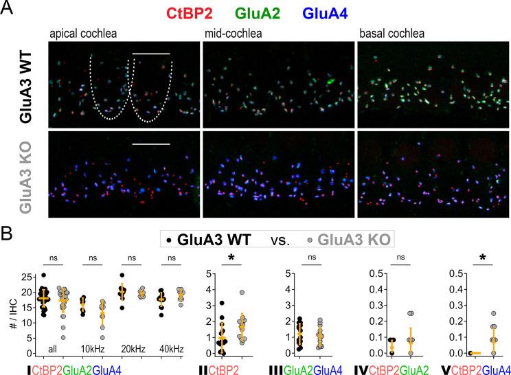 https://cdn.ncbi.nlm.nih.gov/pmc/blobs/d51c/9891727/6b46dcb90372/elife-80950-fig6.jpg
