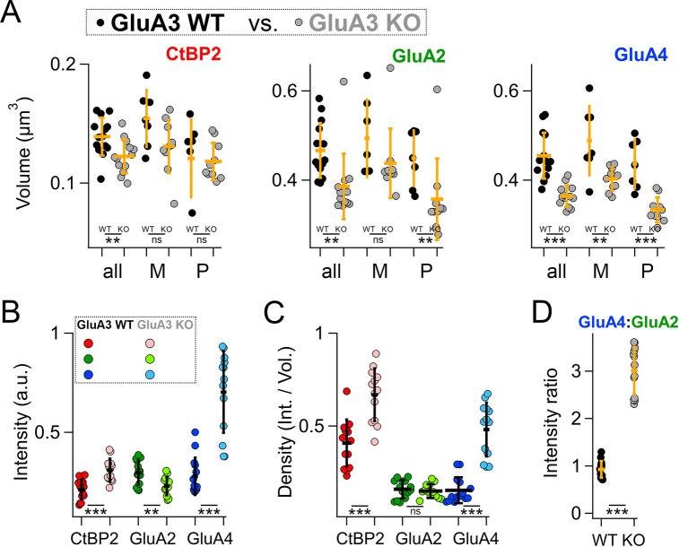 https://cdn.ncbi.nlm.nih.gov/pmc/blobs/d51c/9891727/d85aa74b473b/elife-80950-fig8.jpg