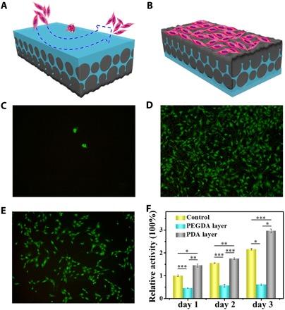 https://cdn.ncbi.nlm.nih.gov/pmc/blobs/d51d/6981080/24ac489e59a2/aax8258-F3.jpg