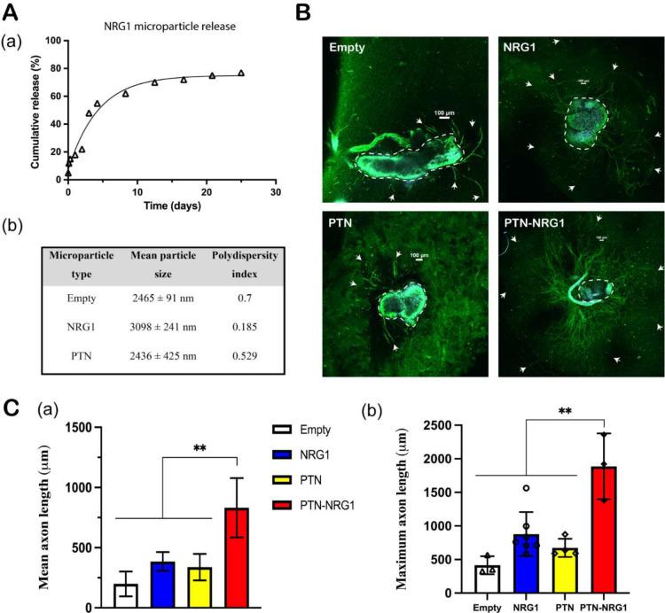 https://cdn.ncbi.nlm.nih.gov/pmc/blobs/d51f/10659554/772faefadc89/nihpp-rs3429258v1-f0002.jpg