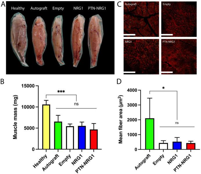 https://cdn.ncbi.nlm.nih.gov/pmc/blobs/d51f/10659554/a859258577bf/nihpp-rs3429258v1-f0009.jpg