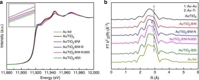 https://cdn.ncbi.nlm.nih.gov/pmc/blobs/d521/6923380/cdadbc33bd99/41467_2019_13755_Fig4_HTML.jpg