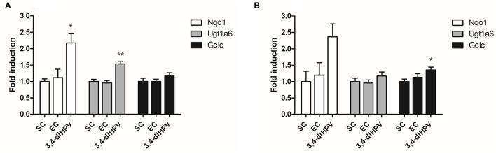 https://cdn.ncbi.nlm.nih.gov/pmc/blobs/d521/9281540/016535627bcf/fnut-09-910785-g0006.jpg