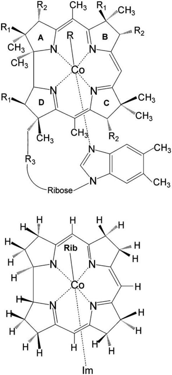 https://cdn.ncbi.nlm.nih.gov/pmc/blobs/d522/3982521/69e2f0900aa1/fchem-01-00041-g0001.jpg
