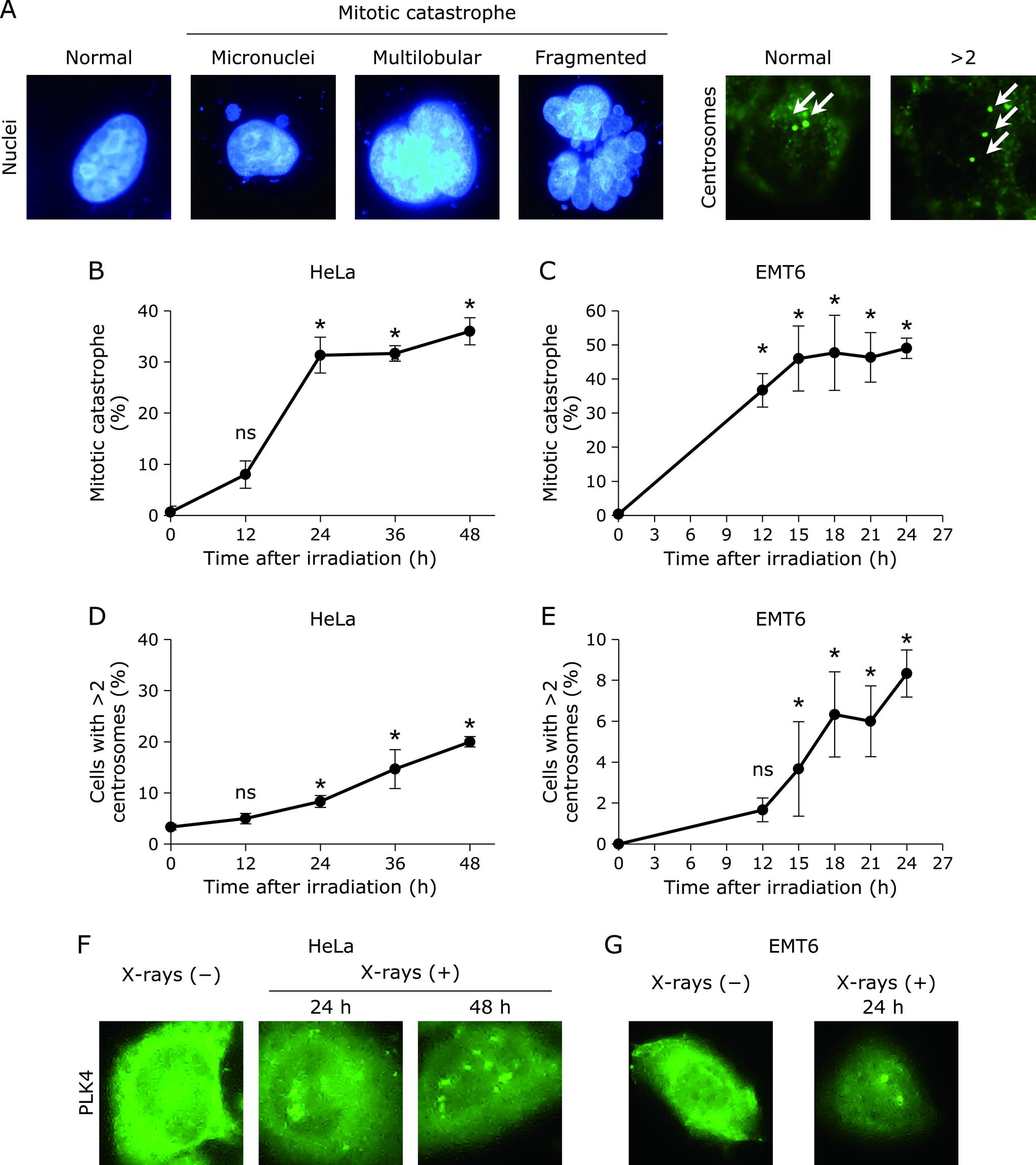 https://cdn.ncbi.nlm.nih.gov/pmc/blobs/d525/7705082/4c2040228e73/jcbn19-80f01.jpg