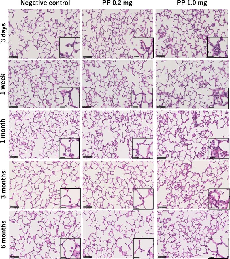 https://cdn.ncbi.nlm.nih.gov/pmc/blobs/d526/11301944/c64391a40127/12989_2024_592_Fig5_HTML.jpg