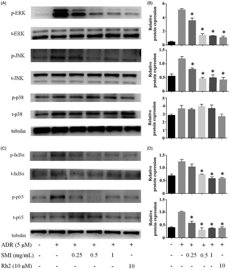https://cdn.ncbi.nlm.nih.gov/pmc/blobs/d527/7170370/23953a8609a5/IPHB_A_1742167_F0008_B.jpg
