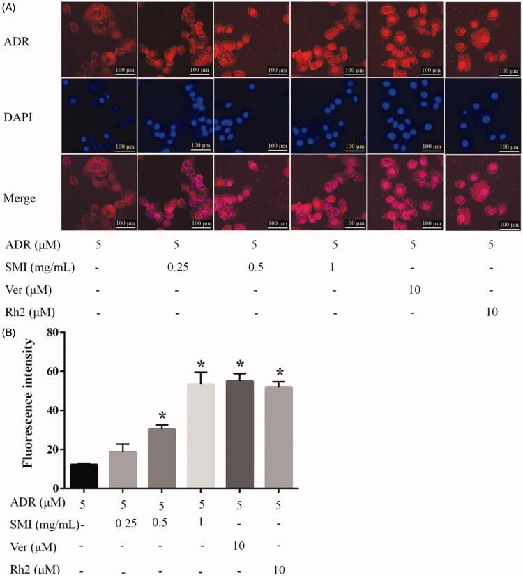 https://cdn.ncbi.nlm.nih.gov/pmc/blobs/d527/7170370/3f242416f0c2/IPHB_A_1742167_F0005_C.jpg