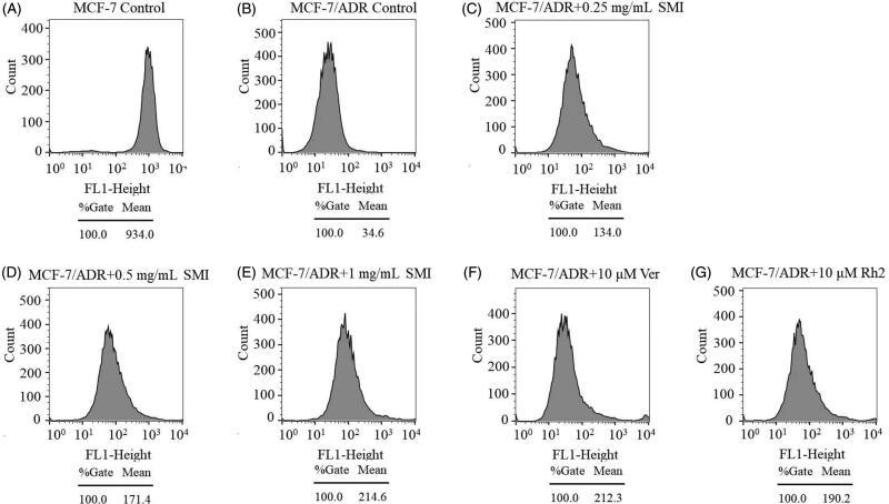 https://cdn.ncbi.nlm.nih.gov/pmc/blobs/d527/7170370/6c43177a2753/IPHB_A_1742167_F0006_B.jpg
