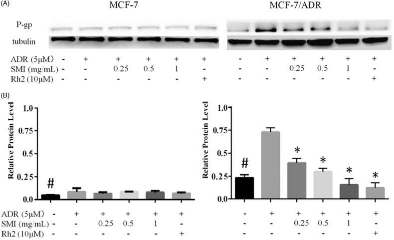 https://cdn.ncbi.nlm.nih.gov/pmc/blobs/d527/7170370/a270fe6bc9f6/IPHB_A_1742167_F0007_B.jpg