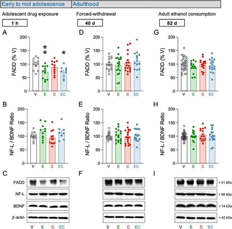 https://cdn.ncbi.nlm.nih.gov/pmc/blobs/d528/12449188/df3a15d7f2d6/pyaf061f2.jpg