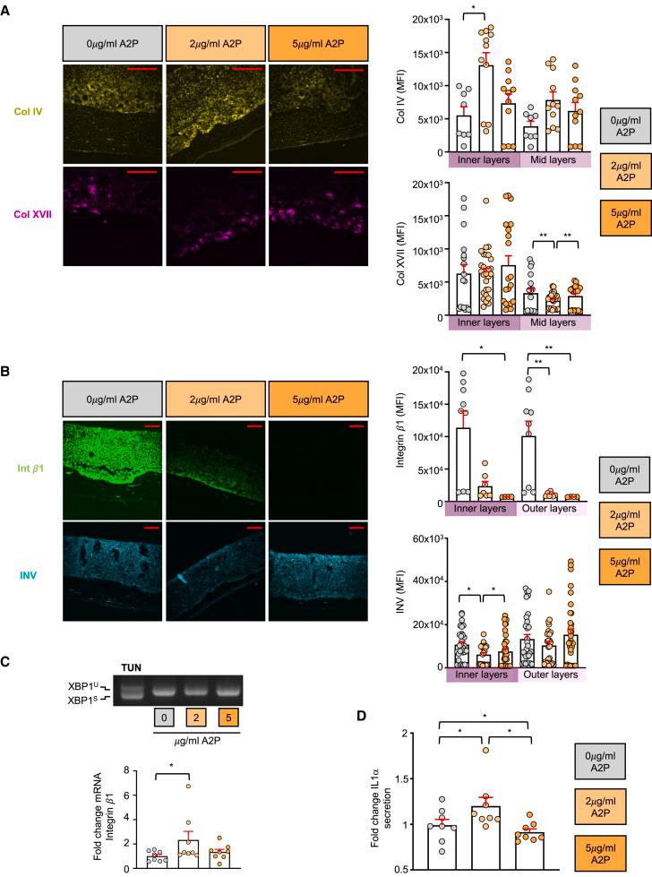 https://cdn.ncbi.nlm.nih.gov/pmc/blobs/d52a/12304772/5a791b4c1be8/gr6.jpg