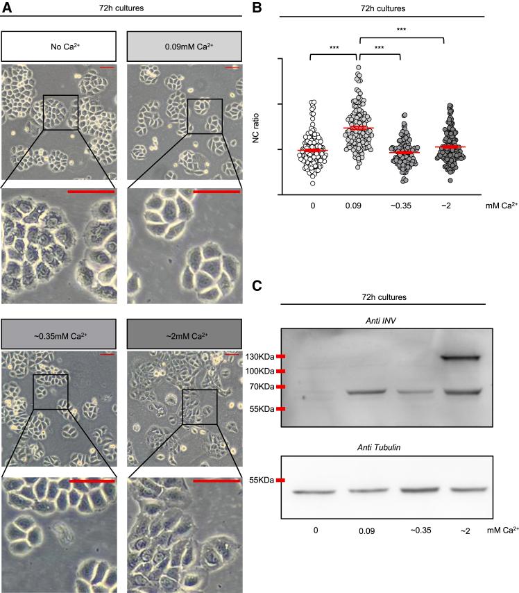 https://cdn.ncbi.nlm.nih.gov/pmc/blobs/d52a/12304772/95b6088f0a01/gr1.jpg
