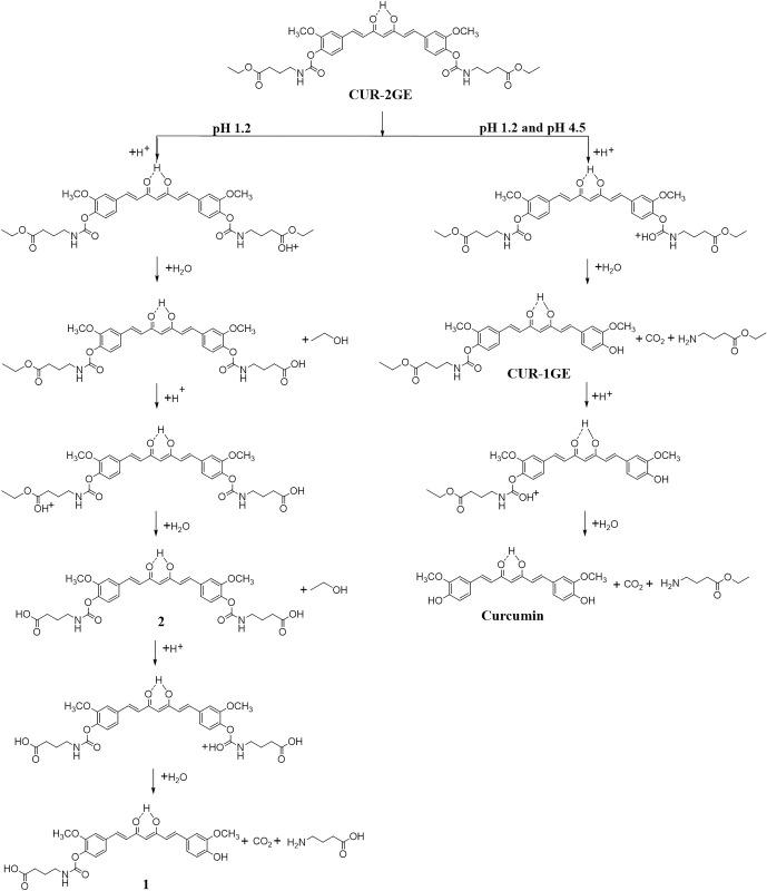 https://cdn.ncbi.nlm.nih.gov/pmc/blobs/d52a/9048745/5729d2331401/pone.0265689.g004.jpg