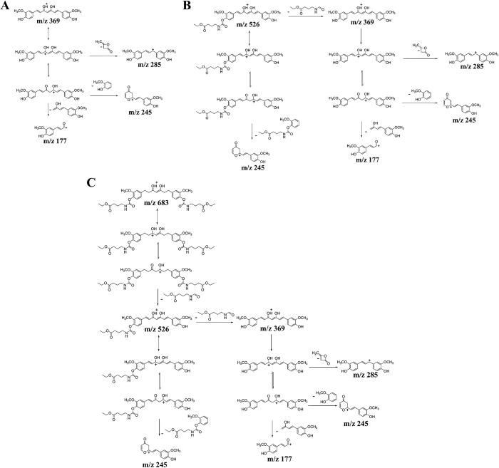 https://cdn.ncbi.nlm.nih.gov/pmc/blobs/d52a/9048745/60115c566b33/pone.0265689.g007.jpg