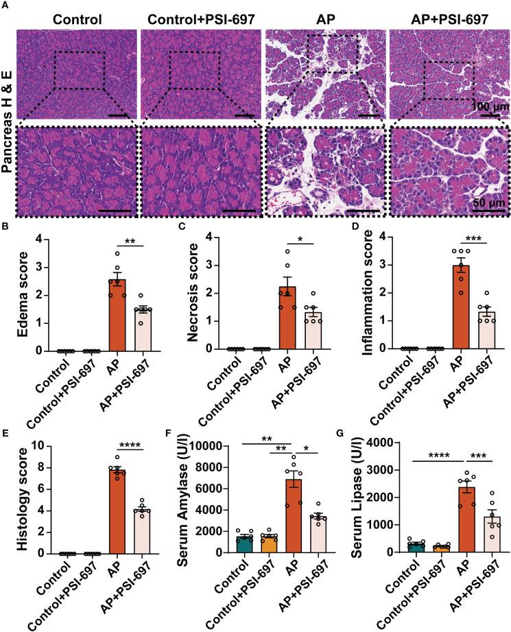 https://cdn.ncbi.nlm.nih.gov/pmc/blobs/d52c/10568494/d21451dd69e7/fimmu-14-1265344-g006.jpg