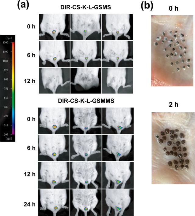 https://cdn.ncbi.nlm.nih.gov/pmc/blobs/d52c/11947829/19d8af888a65/ao4c11016_0004.jpg