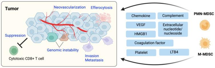 https://cdn.ncbi.nlm.nih.gov/pmc/blobs/d52e/11120175/2a83f3197870/cells-13-00844-g004.jpg
