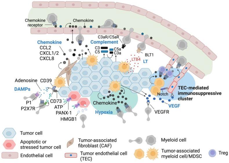 https://cdn.ncbi.nlm.nih.gov/pmc/blobs/d52e/11120175/35b4cb29dd37/cells-13-00844-g005.jpg