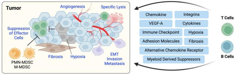 https://cdn.ncbi.nlm.nih.gov/pmc/blobs/d52e/11120175/754c5c17a881/cells-13-00844-g002.jpg