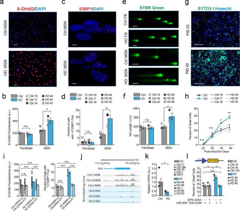 https://cdn.ncbi.nlm.nih.gov/pmc/blobs/d52e/5857213/461758c3b7da/nihms931205f6.jpg