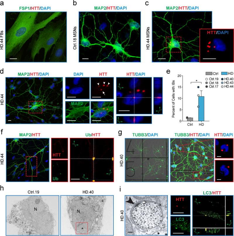 https://cdn.ncbi.nlm.nih.gov/pmc/blobs/d52e/5857213/8e7924a819c8/nihms931205f4.jpg