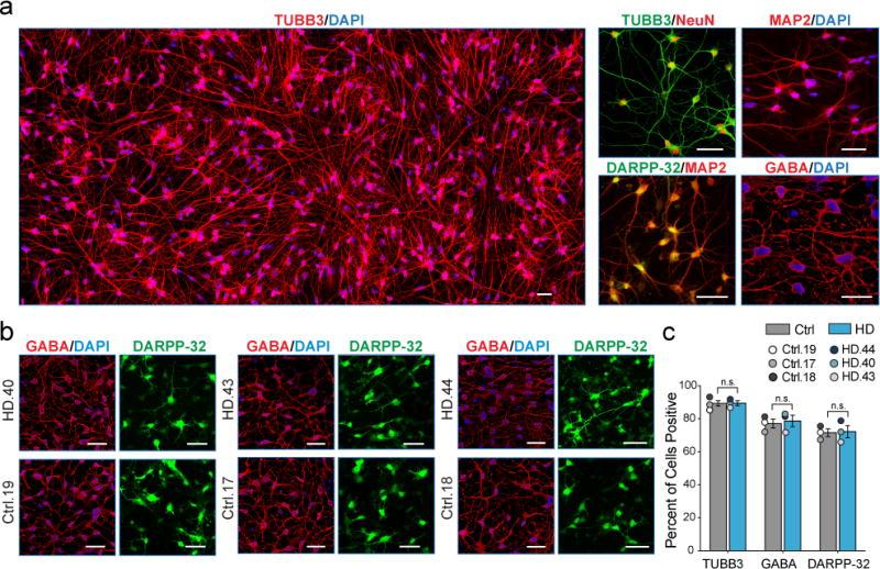 https://cdn.ncbi.nlm.nih.gov/pmc/blobs/d52e/5857213/cd028bbb5c1d/nihms931205f1.jpg