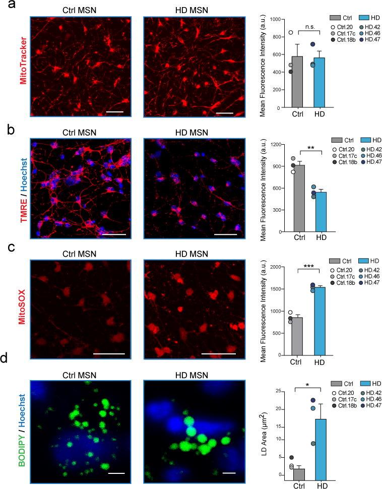 https://cdn.ncbi.nlm.nih.gov/pmc/blobs/d52e/5857213/feb1fc256f24/nihms931205f7.jpg