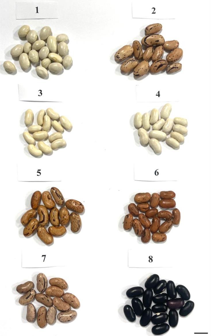 https://cdn.ncbi.nlm.nih.gov/pmc/blobs/d530/10794375/aedbc573a30f/fpls-14-1308830-g001.jpg