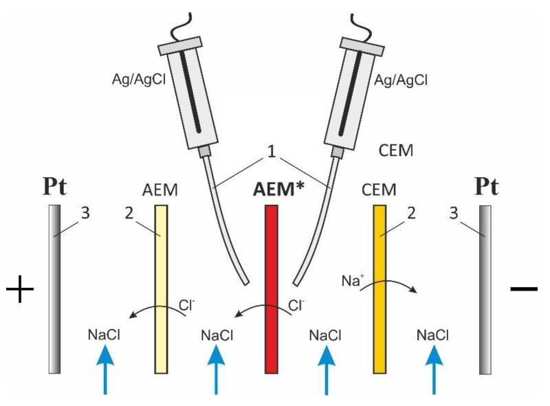 https://cdn.ncbi.nlm.nih.gov/pmc/blobs/d530/7821933/0502404618cb/membranes-11-00002-g002.jpg