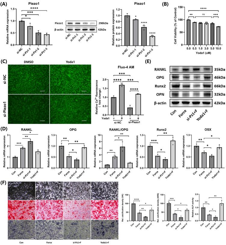 https://cdn.ncbi.nlm.nih.gov/pmc/blobs/d531/12320793/08fa1b278275/ijmsv22p3316g004.jpg