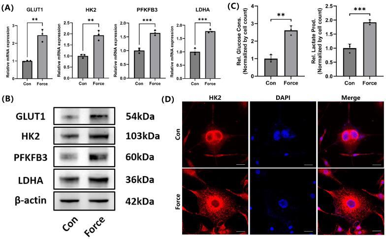 https://cdn.ncbi.nlm.nih.gov/pmc/blobs/d531/12320793/710655242cc2/ijmsv22p3316g002.jpg