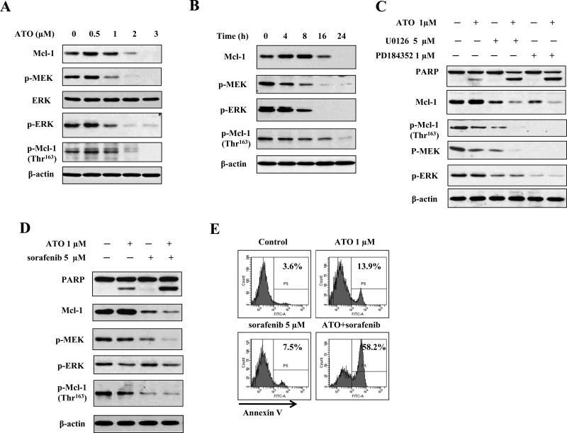 https://cdn.ncbi.nlm.nih.gov/pmc/blobs/d532/3478411/5044078a338e/nihms-386393-f0002.jpg