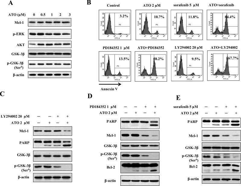 https://cdn.ncbi.nlm.nih.gov/pmc/blobs/d532/3478411/816ed4668a85/nihms-386393-f0005.jpg